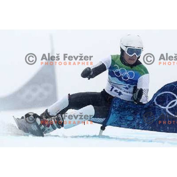 Rok Marguc (SLO) during Men\'s Parallel Giant Slalom at Cypress Mountain 27.2.2010, Vancouver 2010 Winter Olympic Games, Canada 