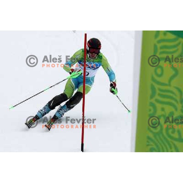 Mitja Valencic (SLO) during Men\'s Slalom in Whistler Creekside 27.2.2010, Vancouver 2010 Winter Olympic Games, Canada 