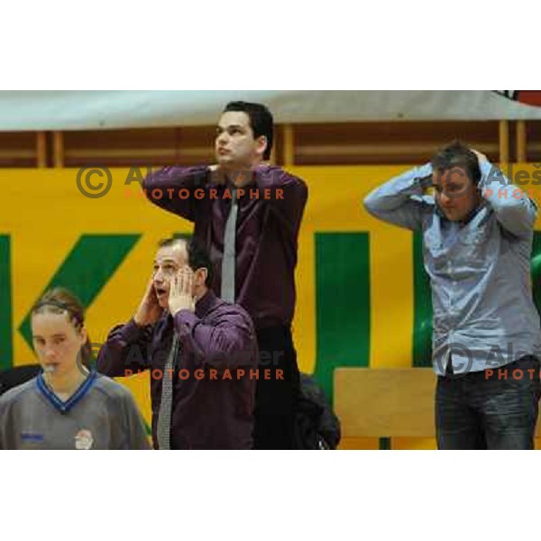Goran Jovanovic at the basketball game Hit Kranjska Gora - Merkur played in the final of the Slovenian womens basketball Cup , Celje, 28.02.2010 