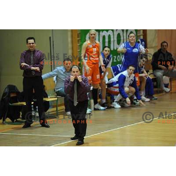 Hit Kranjska Gora at the basketball game Hit Kranjska Gora - Merkur played in the final of the Slovenian womens basketball Cup , Celje, 28.02.2010 