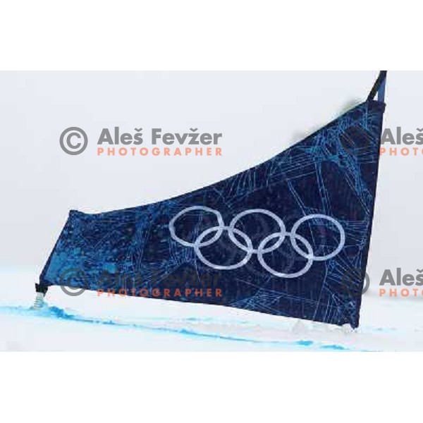  Men\'s Parallel Giant Slalom at Cypress Mountain 27.2.2010, Vancouver 2010 Winter Olympic Games, Canada 