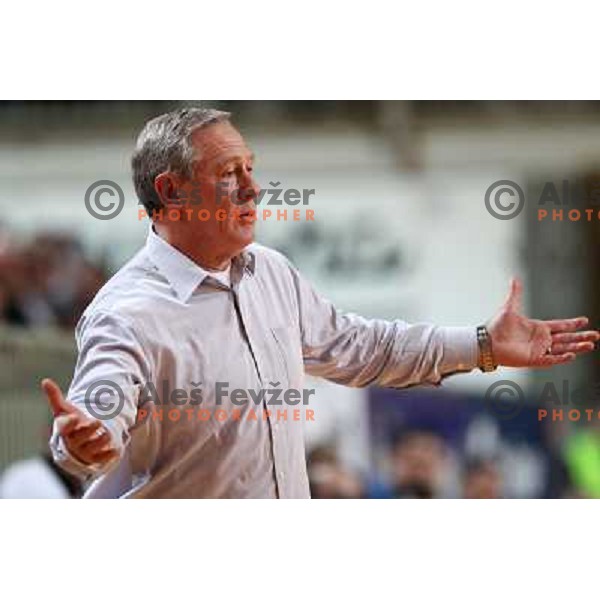 Head coach of Celje Zvonimir Serdarusic in action during handaball match RK Cimos Koper- RK Celje Pivovarna Lasko in MIK 1.liga, played in Bonifika Hall, Koper, Slovenia 6.3.2010 