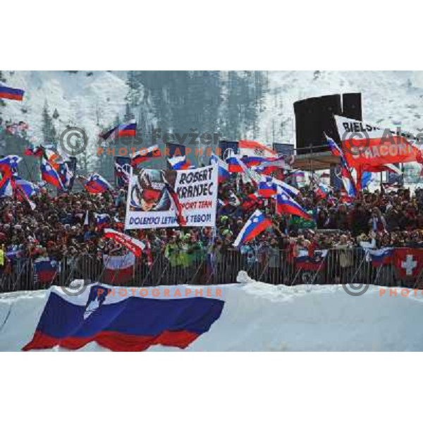 Slovenia fans at world cup ski jumping, 21.3.2010, Planica 