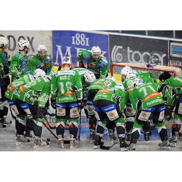 Olimpija players at the Ice hockey game Tilia Olimpija - Acroni Jesenice 3rd game played in the final of the slovenian ice hockey league ,Ljubljana, 26.03.2010, 