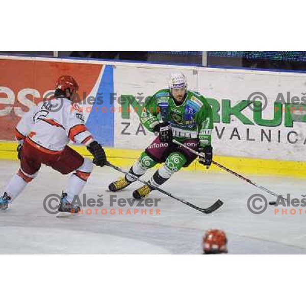 Todd Elik, Matt Higgins at the Ice hockey game Tilia Olimpija - Acroni Jesenice 3rd game played in the final of the slovenian ice hockey league ,Ljubljana, 26.03.2010, 