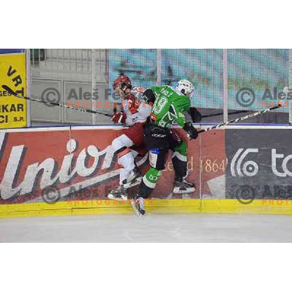 Ziga Pance at the Ice hockey game Tilia Olimpija - Acroni Jesenice 3rd game played in the final of the slovenian ice hockey league ,Ljubljana, 26.03.2010, 