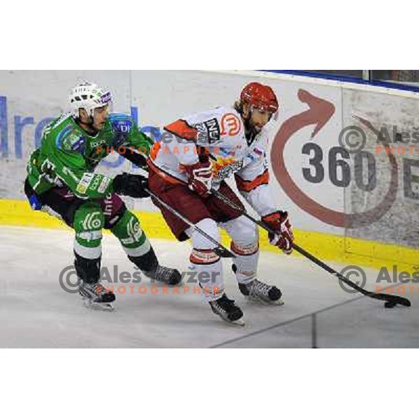 Anze Terlikar at the Ice hockey game Tilia Olimpija - Acroni Jesenice 3rd game played in the final of the slovenian ice hockey league ,Ljubljana, 26.03.2010, 