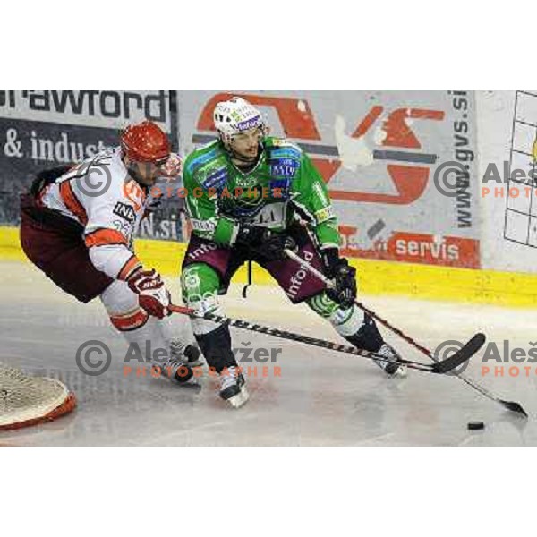 Miha Rebolj, Jurij Golicic at the Ice hockey game Tilia Olimpija - Acroni Jesenice 3rd game played in the final of the slovenian ice hockey league ,Ljubljana, 26.03.2010, 