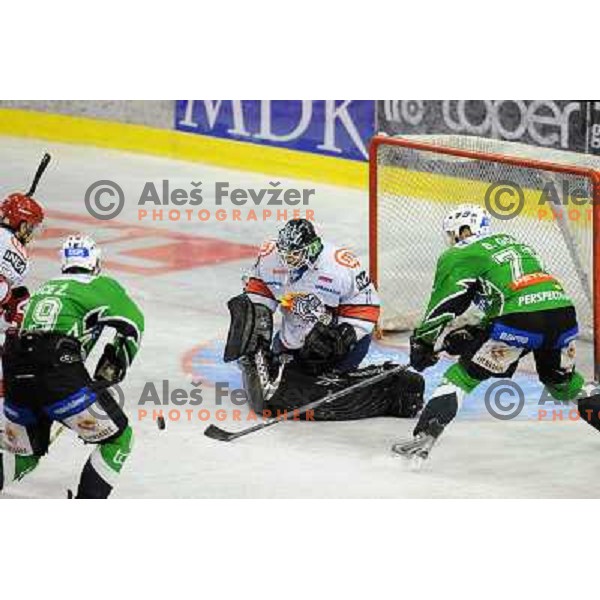 Dov Grummet-Morris, Bostjan Golicic at the Ice hockey game Tilia Olimpija - Acroni Jesenice 3rd game played in the final of the slovenian ice hockey league ,Ljubljana, 26.03.2010, 