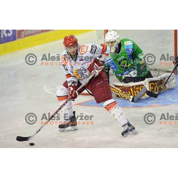 Robert Robins, Matija Pintaric at the Ice hockey game Tilia Olimpija - Acroni Jesenice 3rd game played in the final of the slovenian ice hockey league ,Ljubljana, 26.03.2010, 