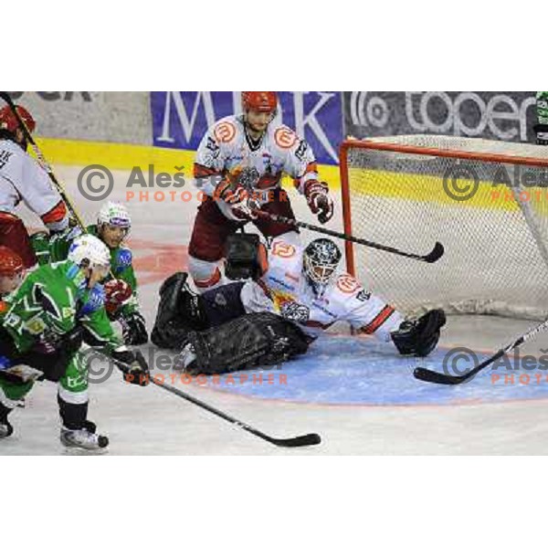 Dov Grummet-Morris, Miha Rebolj at the Ice hockey game Tilia Olimpija - Acroni Jesenice 3rd game played in the final of the slovenian ice hockey league ,Ljubljana, 26.03.2010, 