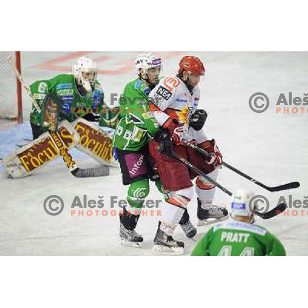 Bostjan Golicic, Anze Terlikar at the Ice hockey game Tilia Olimpija - Acroni Jesenice 3rd game played in the final of the slovenian ice hockey league ,Ljubljana, 26.03.2010, 