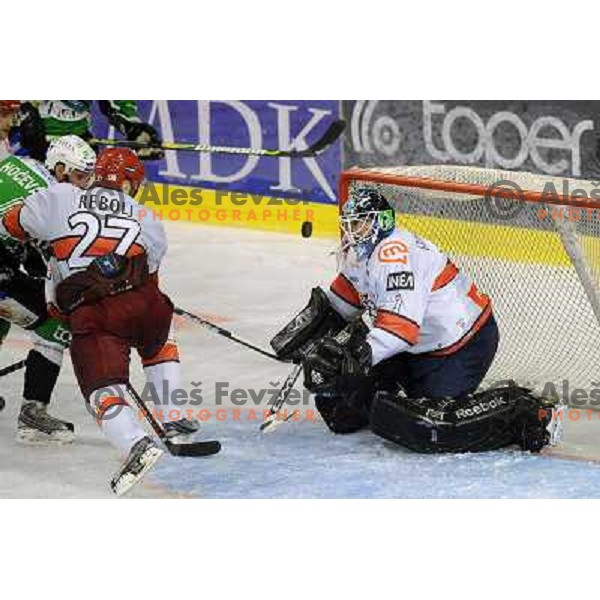 Dov Grummet-Morris at the Ice hockey game Tilia Olimpija - Acroni Jesenice 3rd game played in the final of the slovenian ice hockey league ,Ljubljana, 26.03.2010, 