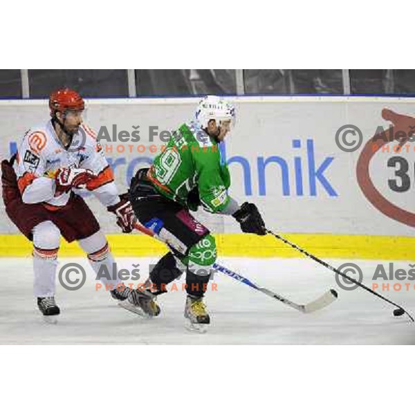 Jan Golubovski, Harlan Pratt at the Ice hockey game Tilia Olimpija - Acroni Jesenice 3rd game played in the final of the slovenian ice hockey league ,Ljubljana, 26.03.2010, 