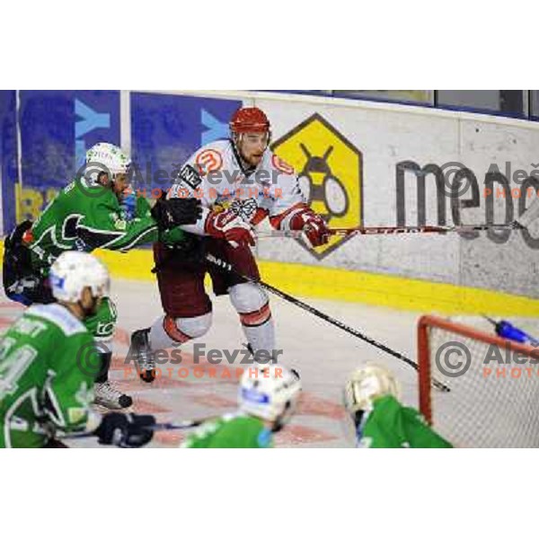 Matej Hocevar, Aleksander Duck at the Ice hockey game Tilia Olimpija - Acroni Jesenice 3rd game played in the final of the slovenian ice hockey league ,Ljubljana, 26.03.2010, 