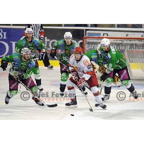 Jurij Golicic, Ales Music, Rok Ticar, Henry Burke at the Ice hockey game Tilia Olimpija - Acroni Jesenice 3rd game played in the final of the slovenian ice hockey league ,Ljubljana, 26.03.2010, 