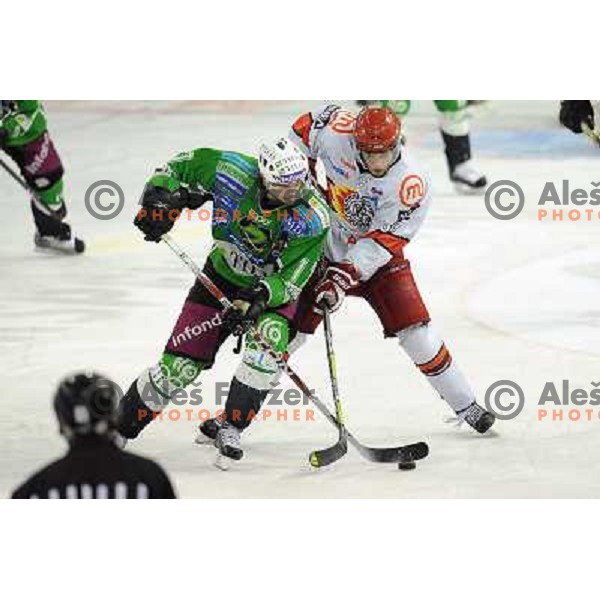 Jurij Golicic, Rok Ticar at the Ice hockey game Tilia Olimpija - Acroni Jesenice 3rd game played in the final of the slovenian ice hockey league ,Ljubljana, 26.03.2010, 