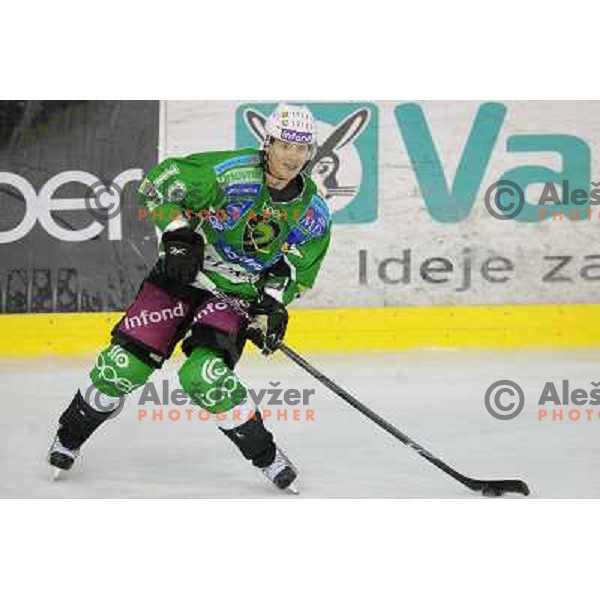 Ales Music at the Ice hockey game Tilia Olimpija - Acroni Jesenice 3rd game played in the final of the slovenian ice hockey league ,Ljubljana, 26.03.2010, 