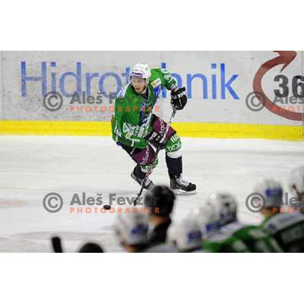 Tommi Hannus at the Ice hockey game Tilia Olimpija - Acroni Jesenice 3rd game played in the final of the slovenian ice hockey league ,Ljubljana, 26.03.2010, 
