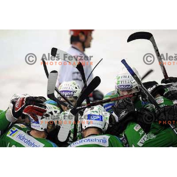 Olimpija players celebrate goal in overtime, Todd Elik in the background at the Ice hockey game Tilia Olimpija - Acroni Jesenice 3rd game played in the final of the slovenian ice hockey league ,Ljubljana, 26.03.2010, 