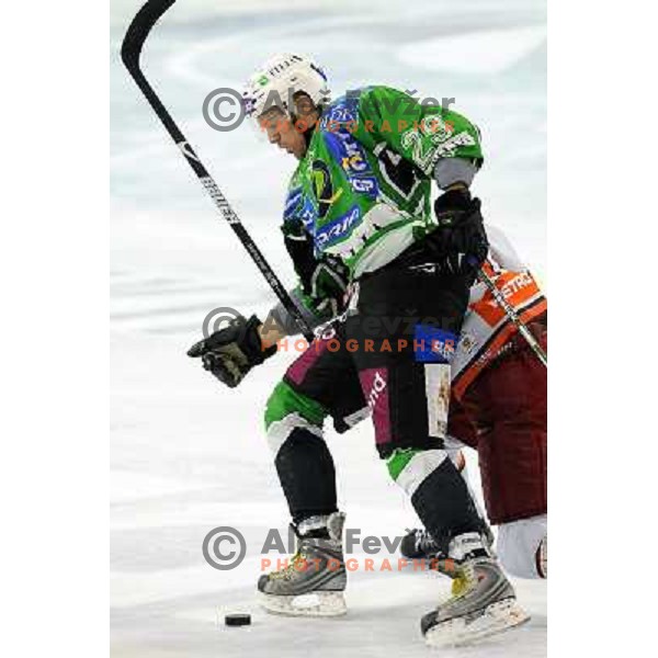 Bostjan Groznik at the Ice hockey game Tilia Olimpija - Acroni Jesenice 3rd game played in the final of the slovenian ice hockey league ,Ljubljana, 26.03.2010, 