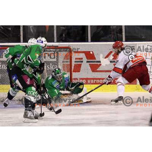 Ales Sila, Andrej Hebar in action during ice-hockey match Tilia Olimpija- Acroni Jesenice in sixth game of Final of Slovenian hockey league, played in Hala Tivoli, Ljubljana, Slovenia 2.4.2010. 