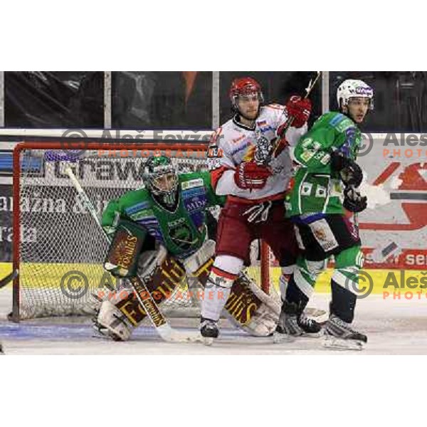 Ales Sila, Bostjan Golicic in action during ice-hockey match Tilia Olimpija- Acroni Jesenice in sixth game of Final of Slovenian hockey league, played in Hala Tivoli, Ljubljana, Slovenia 2.4.2010. 