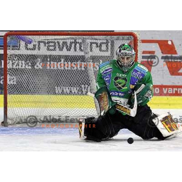 Ales Sila in action during ice-hockey match Tilia Olimpija- Acroni Jesenice in sixth game of Final of Slovenian hockey league, played in Hala Tivoli, Ljubljana, Slovenia 2.4.2010. 