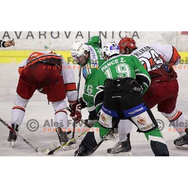 Ales Music, Anze Terlikar,Ziga Pance in action during ice-hockey match Tilia Olimpija- Acroni Jesenice in sixth game of Final of Slovenian hockey league, played in Hala Tivoli, Ljubljana, Slovenia 2.4.2010. 