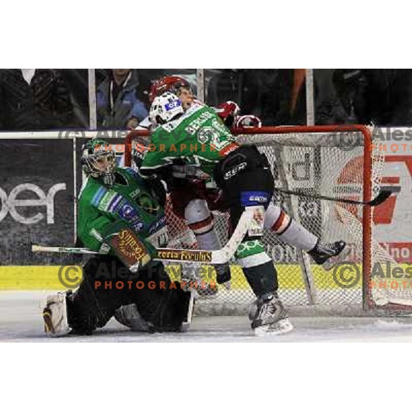 Ales Sila, Nejc Berlisk in action during ice-hockey match Tilia Olimpija- Acroni Jesenice in sixth game of Final of Slovenian hockey league, played in Hala Tivoli, Ljubljana, Slovenia 2.4.2010. 