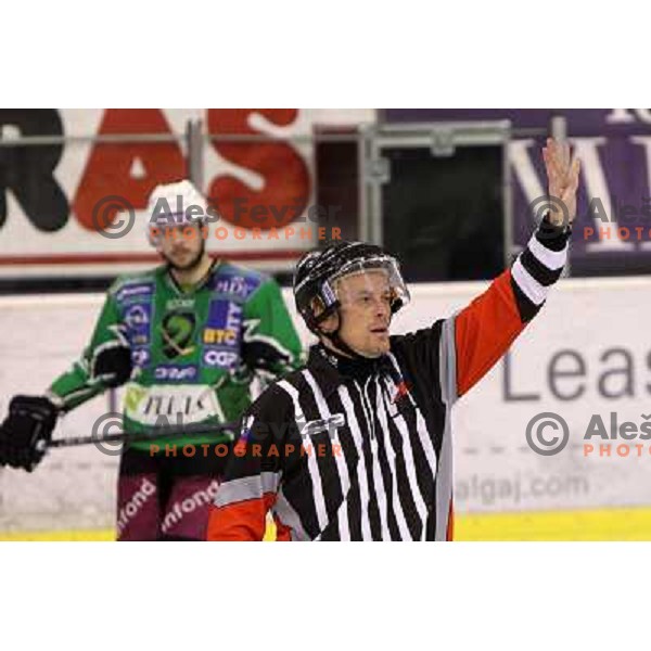 Referee Dremelj in action during ice-hockey match Tilia Olimpija- Acroni Jesenice in sixth game of Final of Slovenian hockey league, played in Hala Tivoli, Ljubljana, Slovenia 2.4.2010. 