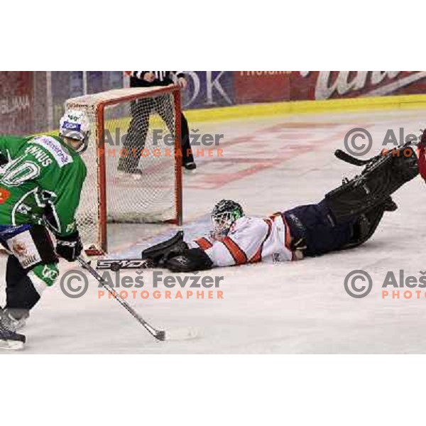 Hannus and Dov Grumet- Morris in action during ice-hockey match Tilia Olimpija- Acroni Jesenice in sixth game of Final of Slovenian hockey league, played in Hala Tivoli, Ljubljana, Slovenia 2.4.2010. 