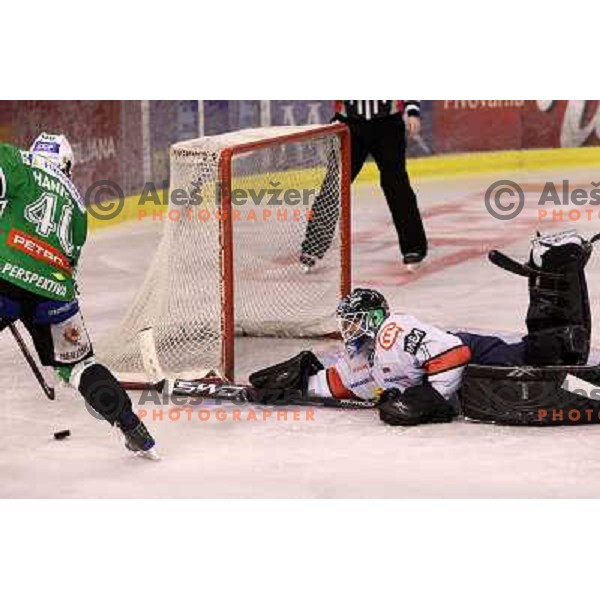Hannus and Dov Grumet- Morris in action during ice-hockey match Tilia Olimpija- Acroni Jesenice in sixth game of Final of Slovenian hockey league, played in Hala Tivoli, Ljubljana, Slovenia 2.4.2010. 