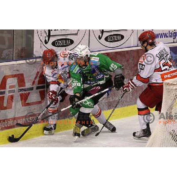 in action during ice-hockey match Tilia Olimpija- Acroni Jesenice in sixth game of Final of Slovenian hockey league, played in Hala Tivoli, Ljubljana, Slovenia 2.4.2010. 