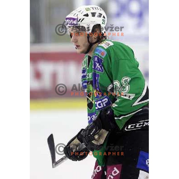Nejc Berlisk in action during ice-hockey match Tilia Olimpija- Acroni Jesenice in sixth game of Final of Slovenian hockey league, played in Hala Tivoli, Ljubljana, Slovenia 2.4.2010. 