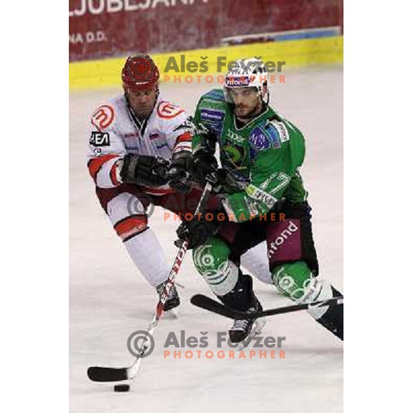 Todd Elik and Jurij Golicic in action during ice-hockey match Tilia Olimpija- Acroni Jesenice in sixth game of Final of Slovenian hockey league, played in Hala Tivoli, Ljubljana, Slovenia 2.4.2010. 