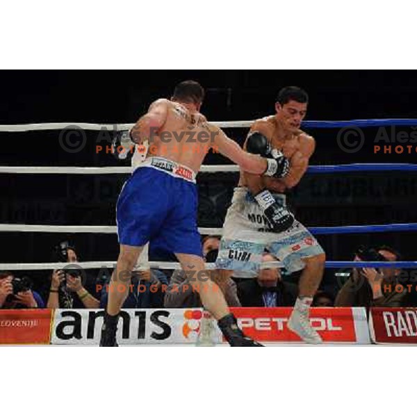 Dejan Zacec (Jan Zaveck) and Rodolfo Martinez at the Boxing match Dejan Zavec (Jan Zaveck) vs Rodolfo Martinez, for the IBF World Championship Belt Welterweight, Ljubljana, 09.04.2010, 