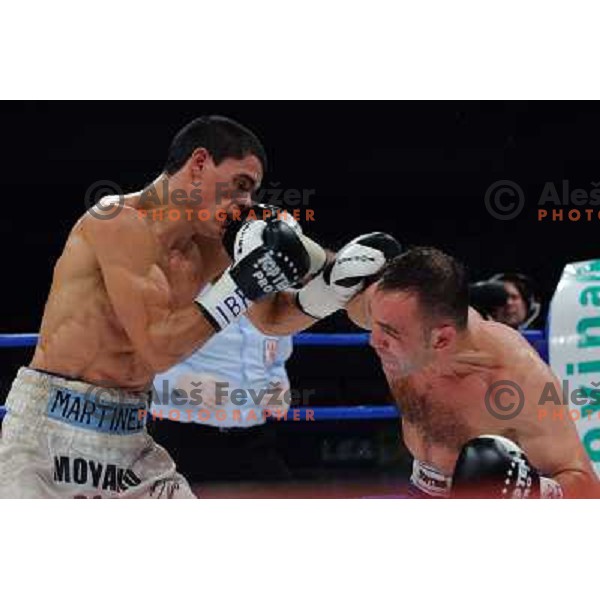 Dejan Zacec (Jan Zaveck) and Rodolfo Martinez at the Boxing match Dejan Zavec (Jan Zaveck) vs Rodolfo Martinez, for the IBF World Championship Belt Welterweight, Ljubljana, 09.04.2010, 