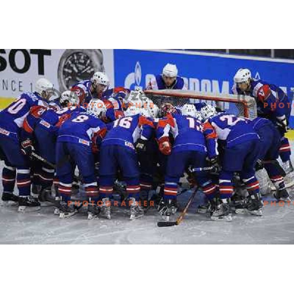 Slovenia players at the ice hockey game Slovenia - Croatia, played in the IIHF World Championship,Divison 1, Group B, Ljubljana, 18.04.2010, Slovenia won 10:1 