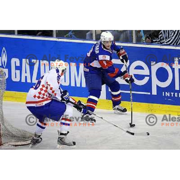 Rok Pretnar at the ice hockey game Slovenia - Croatia, played in the IIHF World Championship,Divison 1, Group B, Ljubljana, 18.04.2010, Slovenia won 10:1 