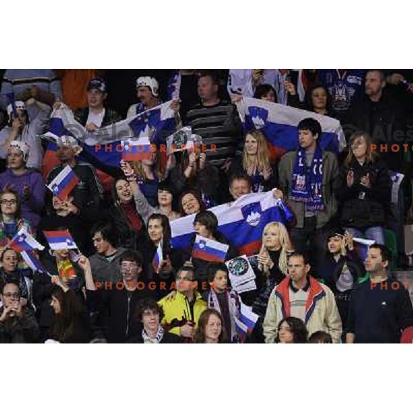 Slovenian fans at the ice hockey game Slovenia - Croatia, played in the IIHF World Championship,Divison 1, Group B, Ljubljana, 18.04.2010, Slovenia won 10:1 