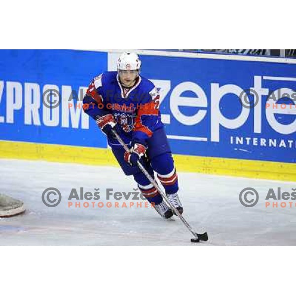 Jakob Milovanovic at the ice hockey game Slovenia - Croatia, played in the IIHF World Championship,Divison 1, Group B, Ljubljana, 18.04.2010, Slovenia won 10:1 