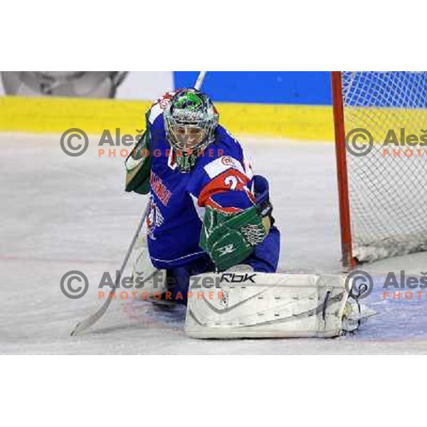 Ales Sila at the ice hockey game Slovenia - Croatia, played in the IIHF World Championship,Divison 1, Group B, Ljubljana, 18.04.2010, Slovenia won 10:1 