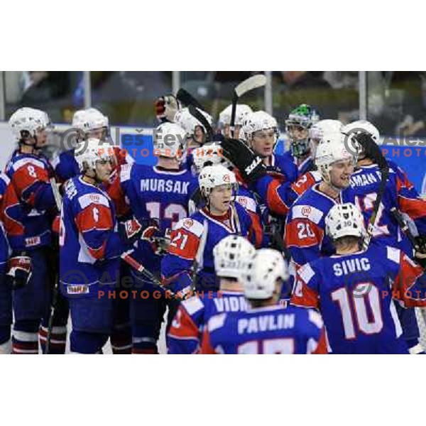 Slovenian players at the ice hockey game Slovenia - Croatia, played in the IIHF World Championship,Divison 1, Group B, Ljubljana, 18.04.2010, Slovenia won 10:1 