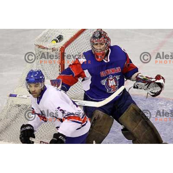  in action during ice-hockey match Slovenia- Great Britain in IIHF World Championship Div 1 group B, played in Hala Tivoli, Ljubljana, Slovenia 20.4.2010 
