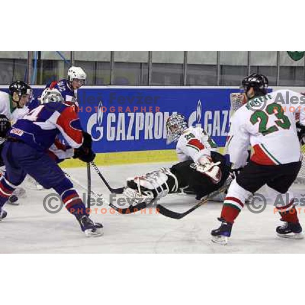  in action during ice-hockey match Slovenia-Hungary at IIHF World Championship-Div 1, group B, played in Hala Tivoli, Ljubljana, Slovenia 24.4.2010 