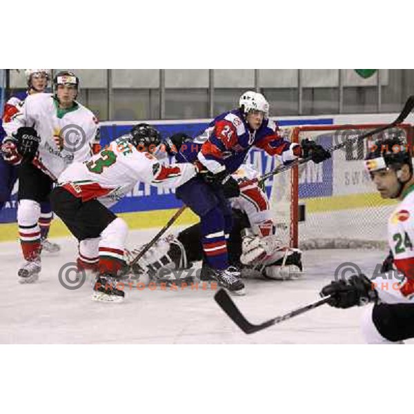 Rok Ticar in action during ice-hockey match Slovenia-Hungary at IIHF World Championship-Div 1, group B, played in Hala Tivoli, Ljubljana, Slovenia 24.4.2010 
