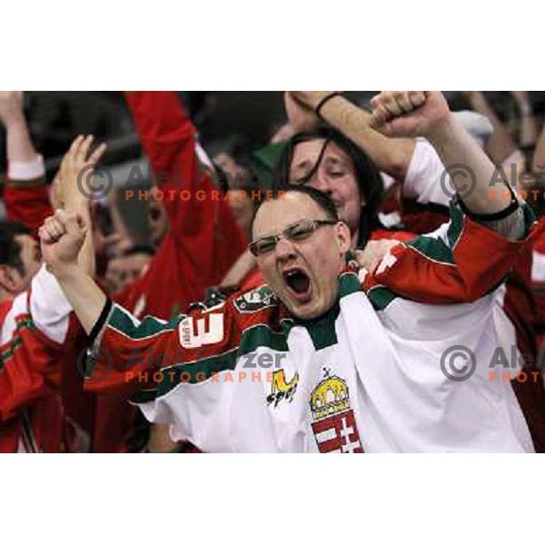 Hungarian fans in action during ice-hockey match Slovenia-Hungary at IIHF World Championship-Div 1, group B, played in Hala Tivoli, Ljubljana, Slovenia 24.4.2010 