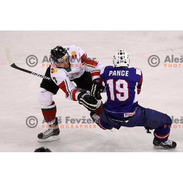 Ziga Pance in action during ice-hockey match Slovenia-Hungary at IIHF World Championship-Div 1, group B, played in Hala Tivoli, Ljubljana, Slovenia 23.4.2010 