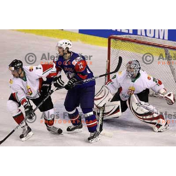 David Rodman in action during ice-hockey match Slovenia-Hungary at IIHF World Championship-Div 1, group B, played in Hala Tivoli, Ljubljana, Slovenia 24.4.2010 